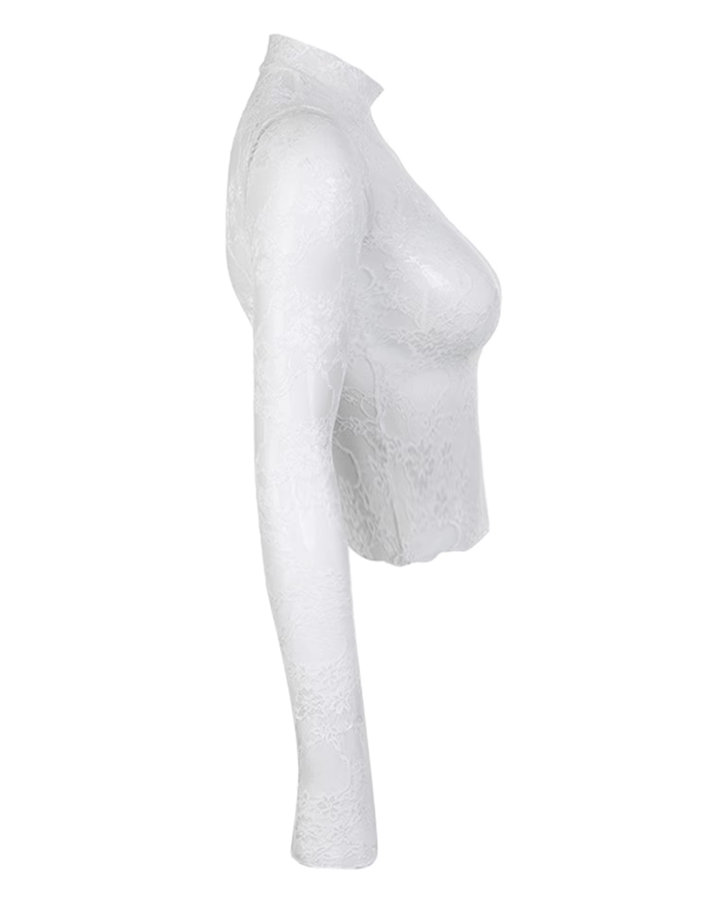 Celivette – Romantic sheer floral – Long sleeve top
